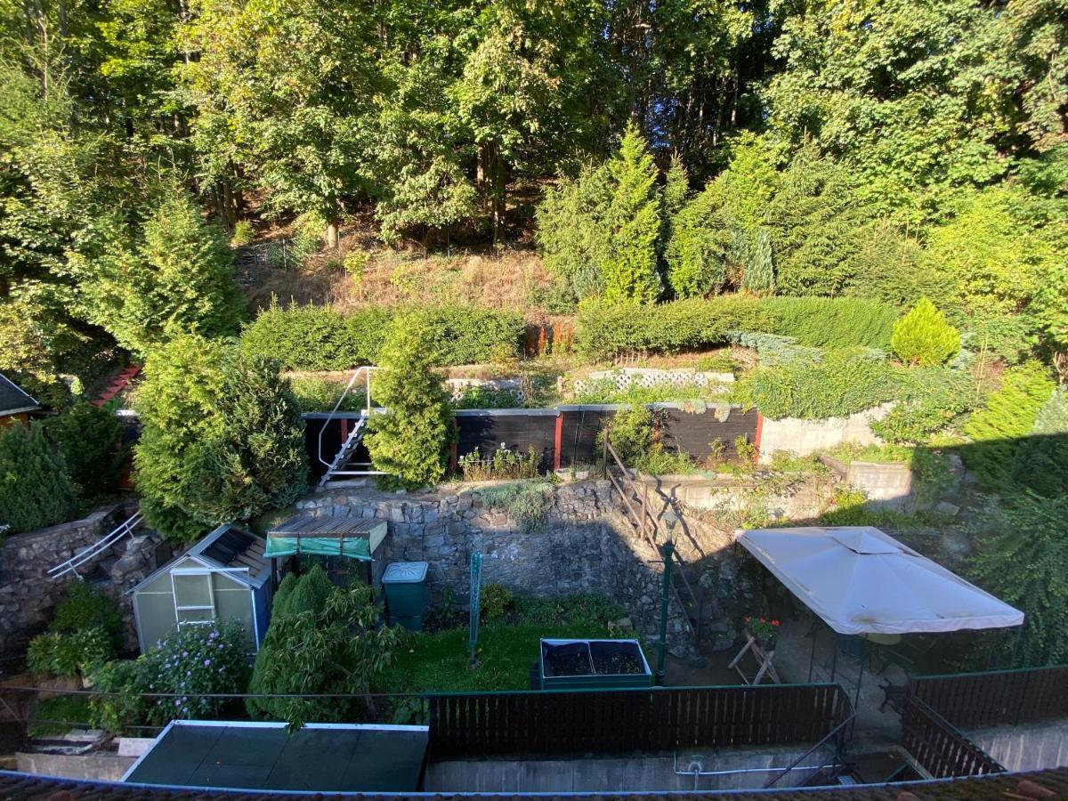 Waldblickwohnung Mit Schoener Terrasse Und Kamin Зебниц Екстериор снимка