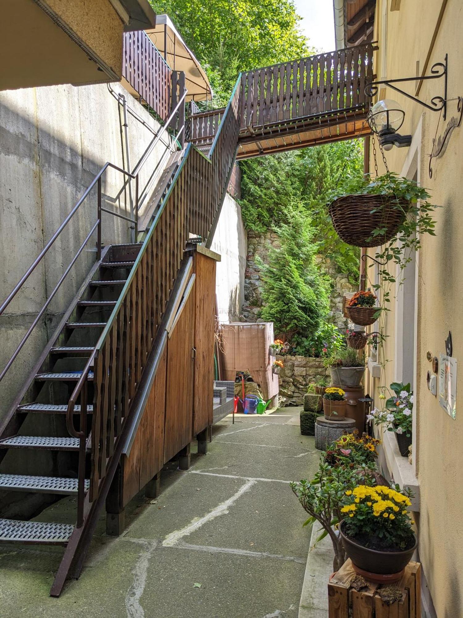 Waldblickwohnung Mit Schoener Terrasse Und Kamin Зебниц Екстериор снимка