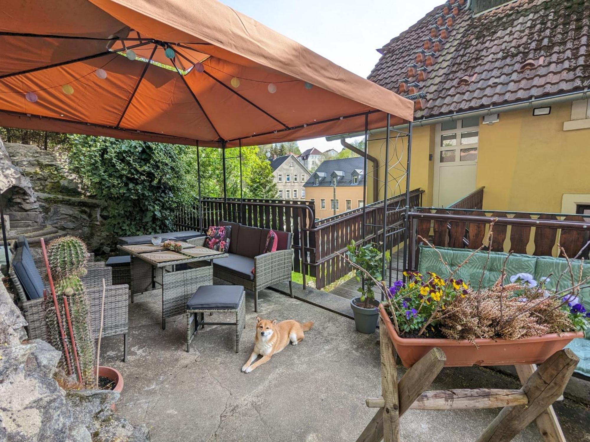 Waldblickwohnung Mit Schoener Terrasse Und Kamin Зебниц Екстериор снимка