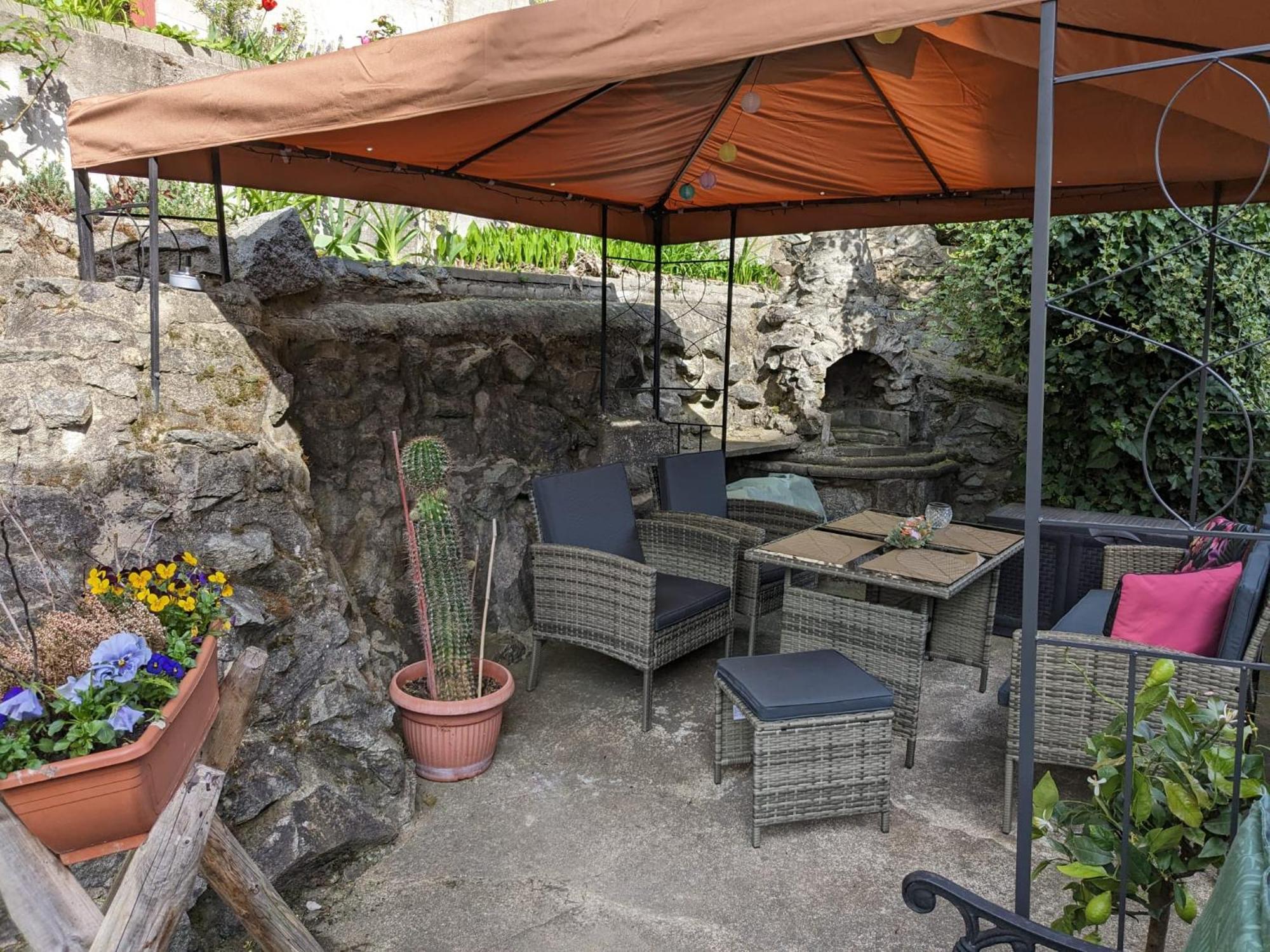 Waldblickwohnung Mit Schoener Terrasse Und Kamin Зебниц Екстериор снимка